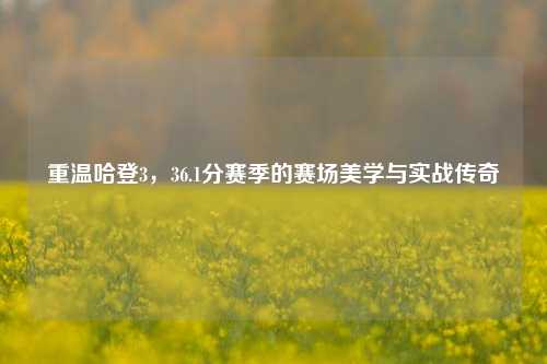 重温哈登3，36.1分赛季的赛场美学与实战传奇