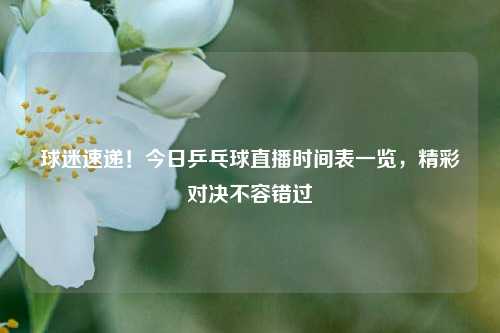 球迷速递!今日乒乓球直播时间表一览,精彩对决不容错过