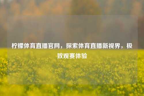 柠檬体育直播官网,探索体育直播新视界,极致观赛体验