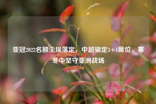 亚冠2022名额尘埃落定，中超锁定3+1席位，寒冬中坚守亚洲战场