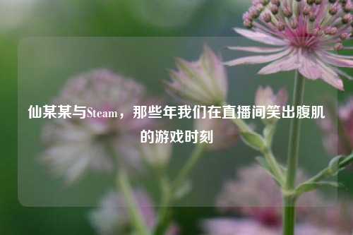 仙某某与Steam,那些年我们在直播间笑出腹肌的游戏时刻