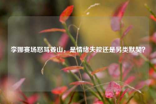 李娜赛场怒骂姜山,是情绪失控还是另类默契?