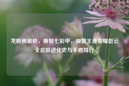 龙胆亮银枪，身披七彩甲，细数王者荣耀赵云全皮肤进化史与手感排行