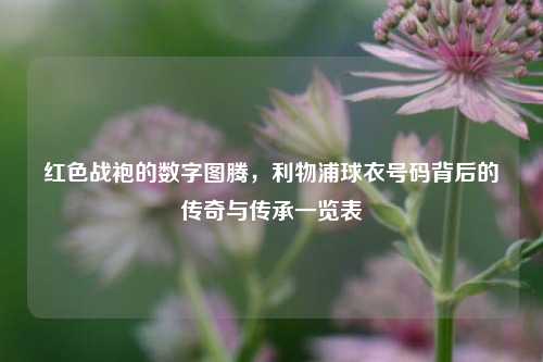 红色战袍的数字图腾,利物浦球衣号码背后的传奇与传承一览表