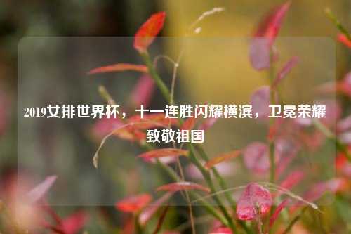 2019女排世界杯,十一连胜闪耀横滨,卫冕荣耀致敬祖国