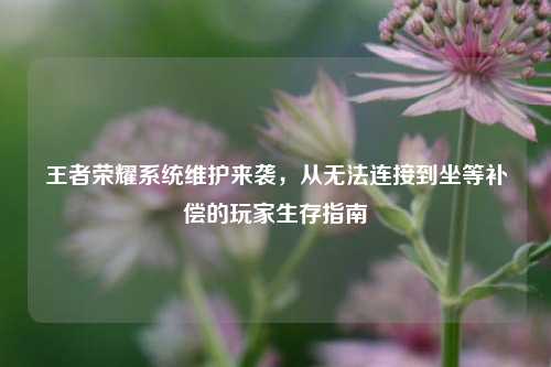 王者荣耀系统维护来袭，从无法连接到坐等补偿的玩家生存指南