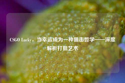 CSGO Lucky,当幸运成为一种狙击哲学——深度解析打狙艺术