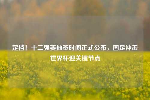 定档!十二强赛抽签时间正式公布,国足冲击世界杯迎关键节点