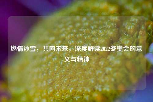 燃情冰雪,共向未来,深度解读2022冬奥会的意义与精神