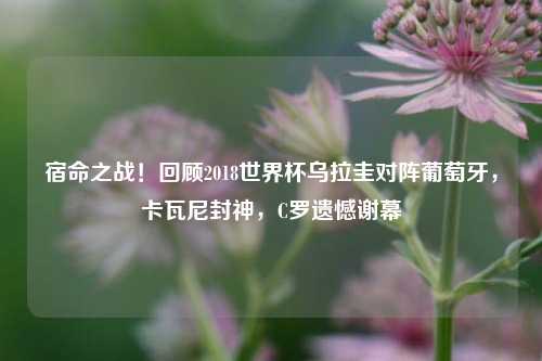 宿命之战！回顾2018世界杯乌拉圭对阵葡萄牙，卡瓦尼封神，C罗遗憾谢幕