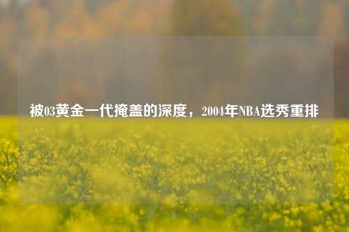 被03黄金一代掩盖的深度,2004年NBA选秀重排