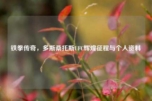 铁拳传奇,多斯桑托斯UFC辉煌征程与个人资料