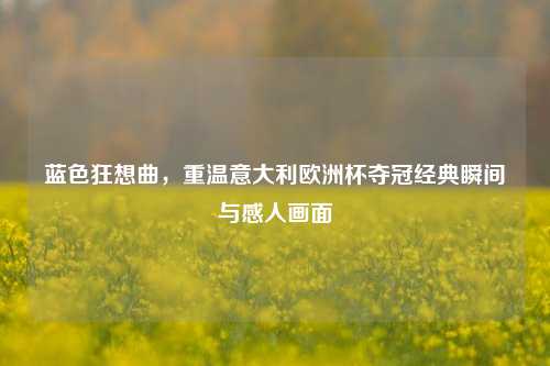 蓝色狂想曲，重温意大利欧洲杯夺冠经典瞬间与感人画面
