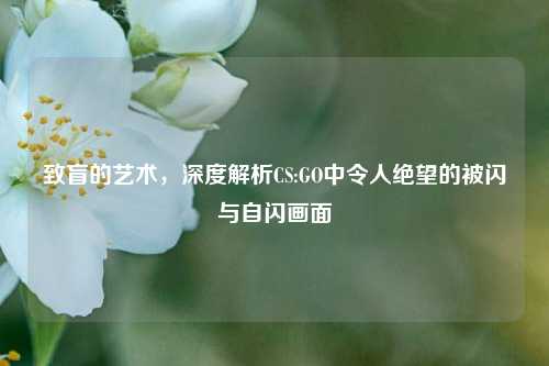 致盲的艺术,深度解析CS:GO中令人绝望的被闪与自闪画面