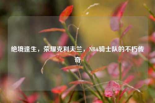 绝境逢生,荣耀克利夫兰,NBA骑士队的不朽传奇