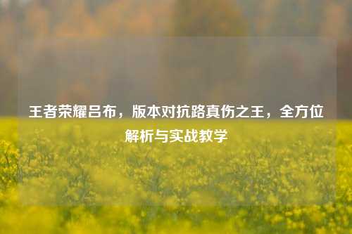 王者荣耀吕布,版本对抗路真伤之王,全方位解析与实战教学