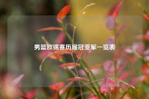 男篮欧锦赛历届冠亚军一览表