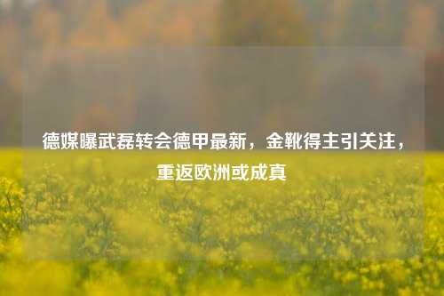 德媒曝武磊转会德甲最新,金靴得主引关注,重返欧洲或成真