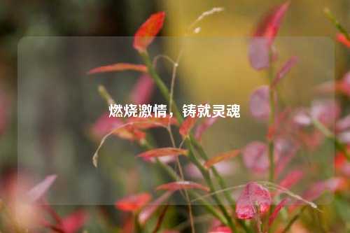 燃烧激情,铸就灵魂