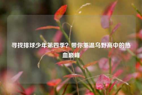 寻找排球少年第四季?带你重温乌野高中的热血巅峰
