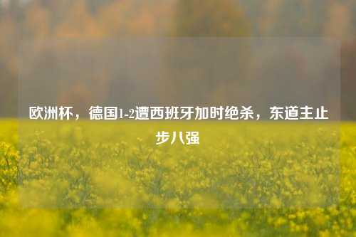 欧洲杯,德国1-2遭西班牙加时绝杀,东道主止步八强