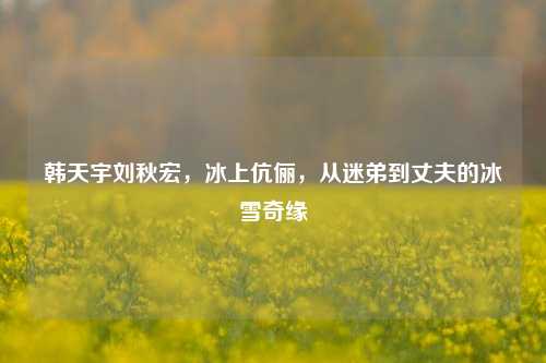 韩天宇刘秋宏，冰上伉俪，从迷弟到丈夫的冰雪奇缘