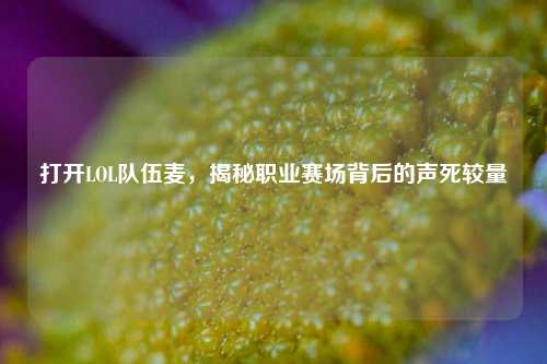 打开LOL队伍麦,揭秘职业赛场背后的声死较量