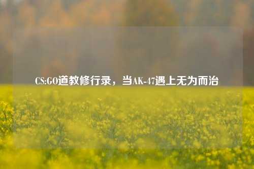 CS:GO道教修行录，当AK-47遇上无为而治