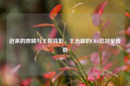 迟来的救赎与王朝背影，王治郅的CBA总冠军传奇