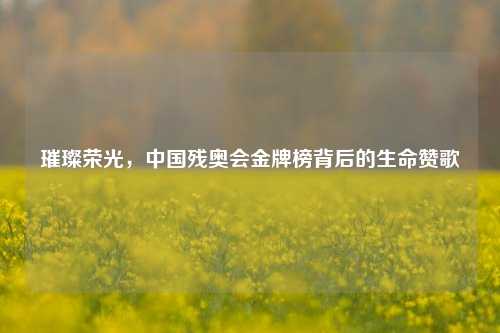 璀璨荣光，中国残奥会金牌榜背后的生命赞歌