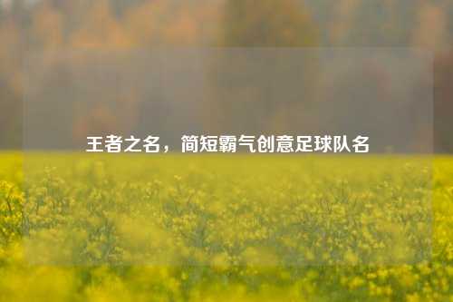 王者之名，简短霸气创意足球队名