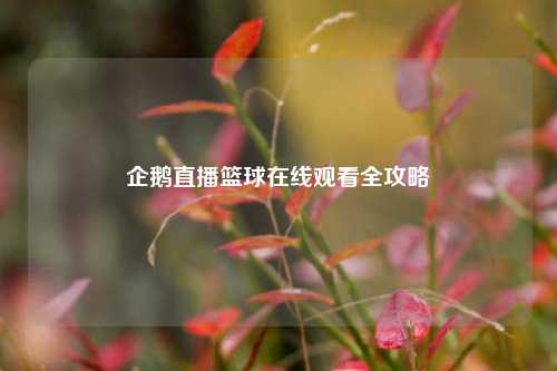 企鹅直播篮球在线观看全攻略