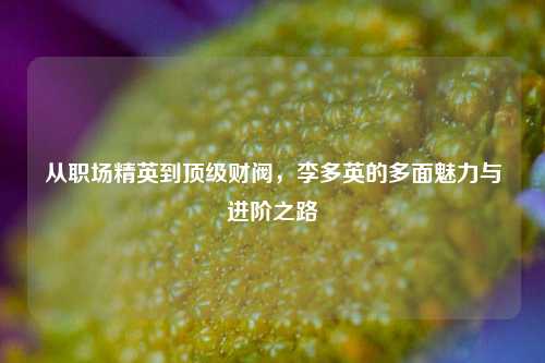 从职场精英到顶级财阀,李多英的多面魅力与进阶之路
