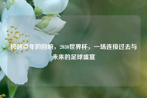 跨越百年的回响，2030世界杯，一场连接过去与未来的足球盛宴
