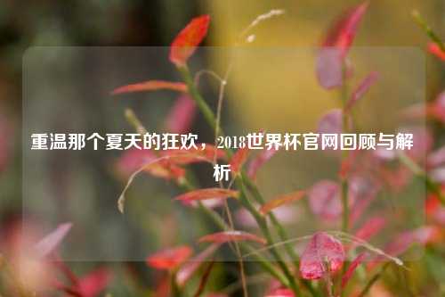 重温那个夏天的狂欢,2018世界杯官网回顾与解析
