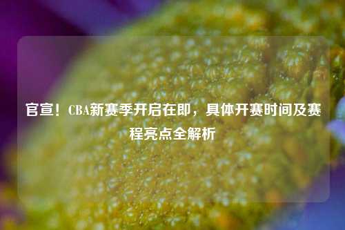 官宣！CBA新赛季开启在即，具体开赛时间及赛程亮点全解析