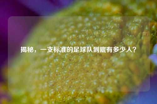 揭秘，一支标准的足球队到底有多少人？