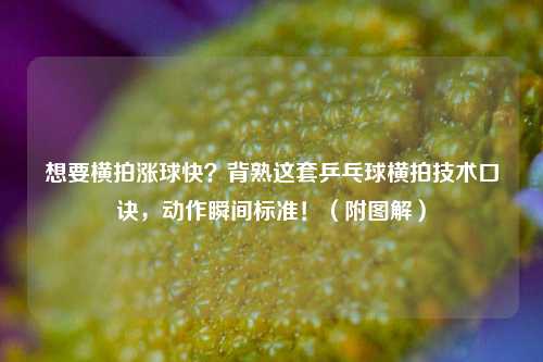 想要横拍涨球快？背熟这套乒乓球横拍技术口诀，动作瞬间标准！（附图解）