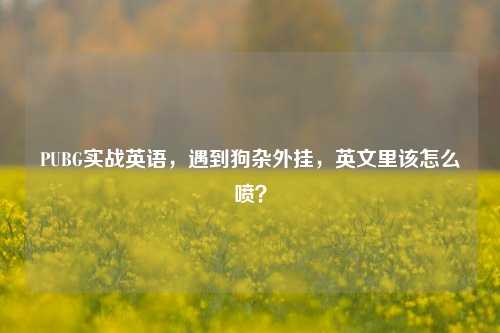 PUBG实战英语,遇到狗杂外挂,英文里该怎么喷?