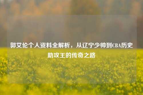 郭艾伦个人资料全解析,从辽宁少帅到CBA历史助攻王的传奇之路