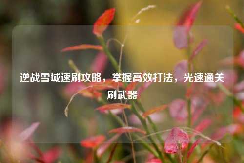 逆战雪域速刷攻略,掌握高效打法,光速通关刷武器