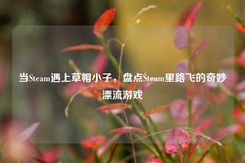 当Steam遇上草帽小子，盘点Steam里路飞的奇妙漂流游戏