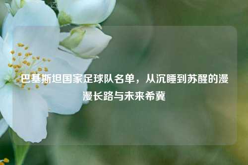 巴基斯坦国家足球队名单,从沉睡到苏醒的漫漫长路与未来希冀