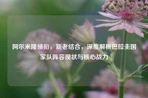 阿尔米隆领衔,新老结合,深度解析巴拉圭国家队阵容现状与核心战力