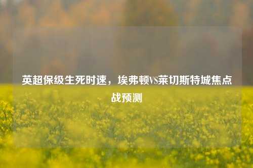 英超保级生死时速,埃弗顿VS莱切斯特城焦点战预测