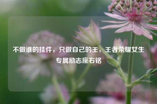 不做谁的挂件,只做自己的王,王者荣耀女生专属励志座右铭