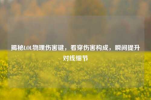 揭秘LOL物理伤害键，看穿伤害构成，瞬间提升对线细节