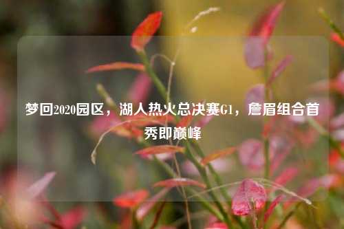 梦回2020园区,湖人热火总决赛G1,詹眉组合首秀即巅峰
