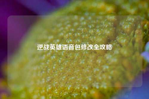 逆战英雄语音包修改全攻略