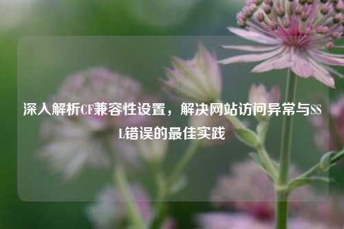 深入解析CF兼容性设置，解决网站访问异常与SSL错误的最佳实践